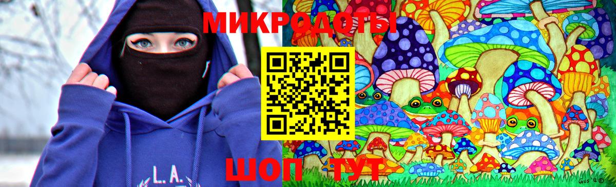 где купить наркоту  Вход с VPN  Каменск-Шахтинский  Галлюциногенные грибы MAGIC MUSHROOMS 